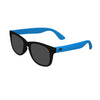 Carolina Panthers NFL Casual Two-Color Sunglasses