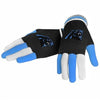 Carolina Panthers Multi Color Knit Gloves