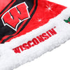 Wisconsin Badgers NCAA High End Santa Hat