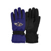 Baltimore Ravens NFL Big Logo Insulated Gloves