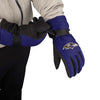Baltimore Ravens NFL Big Logo Insulated Gloves