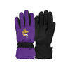 Minnesota Vikings NFL Big Logo Insulated Gloves