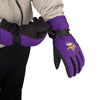 Minnesota Vikings NFL Big Logo Insulated Gloves