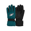 Philadelphia Eagles NFL Big Logo Insulated Gloves