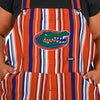 Florida Gators NCAA Womens Hyper Stripe Bib Overalls