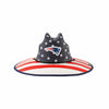 New England Patriots Thematic NFL Straw Hat