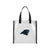 Carolina Panthers NFL Clear Reusable Bag