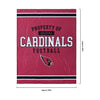 Arizona Cardinals NFL Team Property Sherpa Plush Throw Blanket