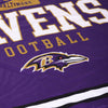 Baltimore Ravens NFL Team Property Sherpa Plush Throw Blanket