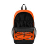 Miami Dolphins NFL Big Logo Bungee Backpack