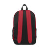 San Francisco 49ers NFL Big Logo Bungee Backpack