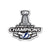 Tampa Bay Lightning NHL 2020 Stanley Cup Champions Magnet