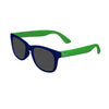 Seattle Seahawks NFL Casual Two-Color Sunglasses