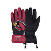 Arizona Cardinals NFL Gradient Big Logo Insulated Gloves