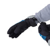 Detroit Lions NFL Gradient Big Logo Insulated Gloves