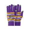 Minnesota Vikings NFL Football Team Logo Stretch Gloves