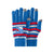 New York Rangers NHL Hockey Team Logo Stretch Gloves