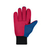 Texas Rangers Utility Gloves - Colored Palm