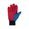 Philadelphia 76ers NBA Utility Gloves - Colored Palm