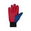 Arizona Wildcats Utility Gloves - Colored Palm