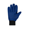 Tampa Bay Lightning NHL Utility Gloves - Colored Palm
