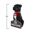 Ohio State Buckeyes NCAA American Staffordshire Terrier Statue