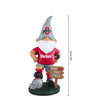 Ohio State Buckeyes NCAA Keep Off The Field Gnome