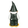 Green Bay Packers NFL Team Gnome