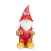 NFL Team Gnomes - Select Your Team & Style