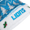 Detroit Lions NFL Family Holiday Santa Hat