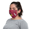 Arizona Cardinals NFL On-Field Sideline Logo Face Cover