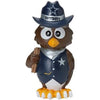 Dallas Cowboys 9.5" Resin Statue Thematic Owl
