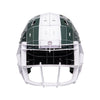 Michigan State Spartans NCAA 3D Model PZLZ Helmet