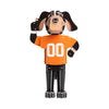 Tennessee Volunteers NCAA 3D Model PZLZ Mascot - Smokey