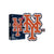 New York Mets MLB Logo Wood Jigsaw Puzzle PZLZ