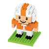 Tennessee Volunteers NCAA 3D BRXLZ Player Puzzle Set
