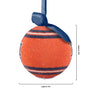 Auburn Tigers NCAA LED Shatterproof Ball Ornament