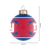 New York Giants NFL 2 Pack Glass Ball Ornament Set