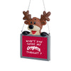 Washington State Cougars NCAA Reindeer With Sign Ornament