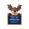 Denver Broncos NFL Team Logo Reindeer With Sign Holiday Tree Ornament