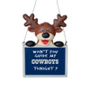 Dallas Cowboys NFL Team Logo Reindeer With Sign Holiday Tree Ornament