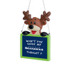 Seattle Seahawks NFL Team Logo Reindeer With Sign Holiday Tree Ornament