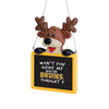 Boston Bruins Team Logo Reindeer With Sign Holiday Tree Ornament