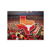 Texas Longhorns NCAA Canvas Wall Sign