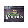 Minnesota Vikings NFL Canvas Wall Sign