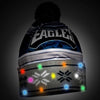Philadelphia Eagles NFL Wordmark Light Up Printed Beanie