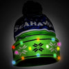 Seattle Seahawks NFL Wordmark Light Up Printed Beanie
