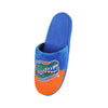 Florida Gators NCAA Mens Logo Staycation Slippers