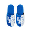 Kentucky Wildcats NCAA Mens Team Logo Staycation Slippers
