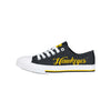 Iowa Hawkeyes NCAA Womens Color Glitter Low Top Canvas Shoes